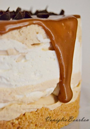 cheesecake fredda alla crema di biscotto