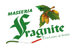 logo fragnite