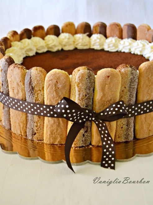 tiramisù charlotte 1